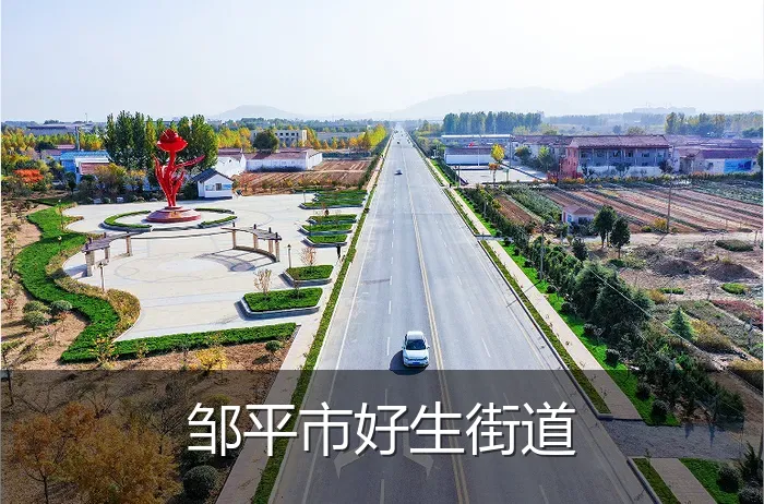 邹平市好生街道