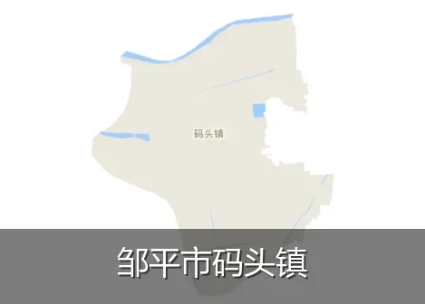 邹平市码头镇