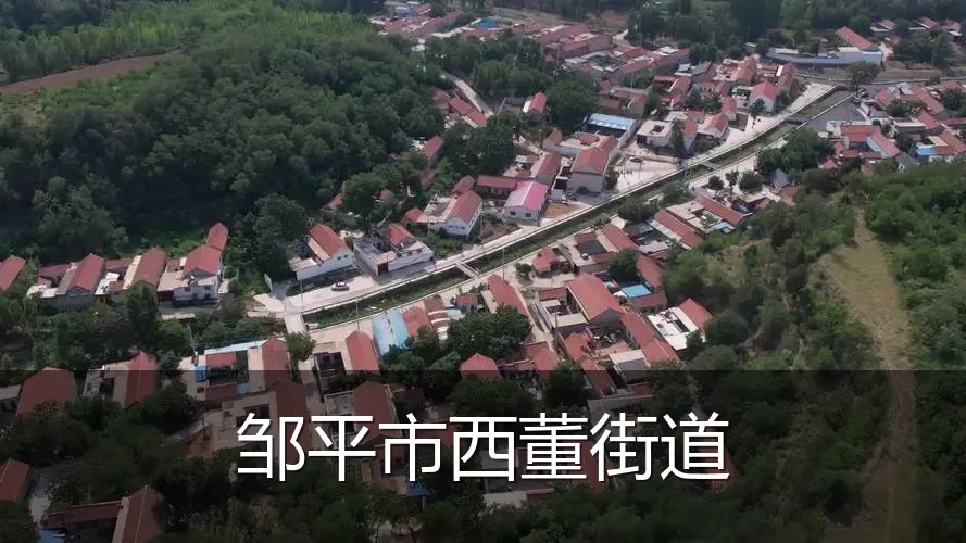 邹平市西董街道