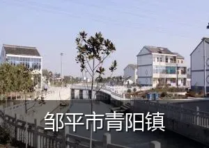 邹平市青阳镇